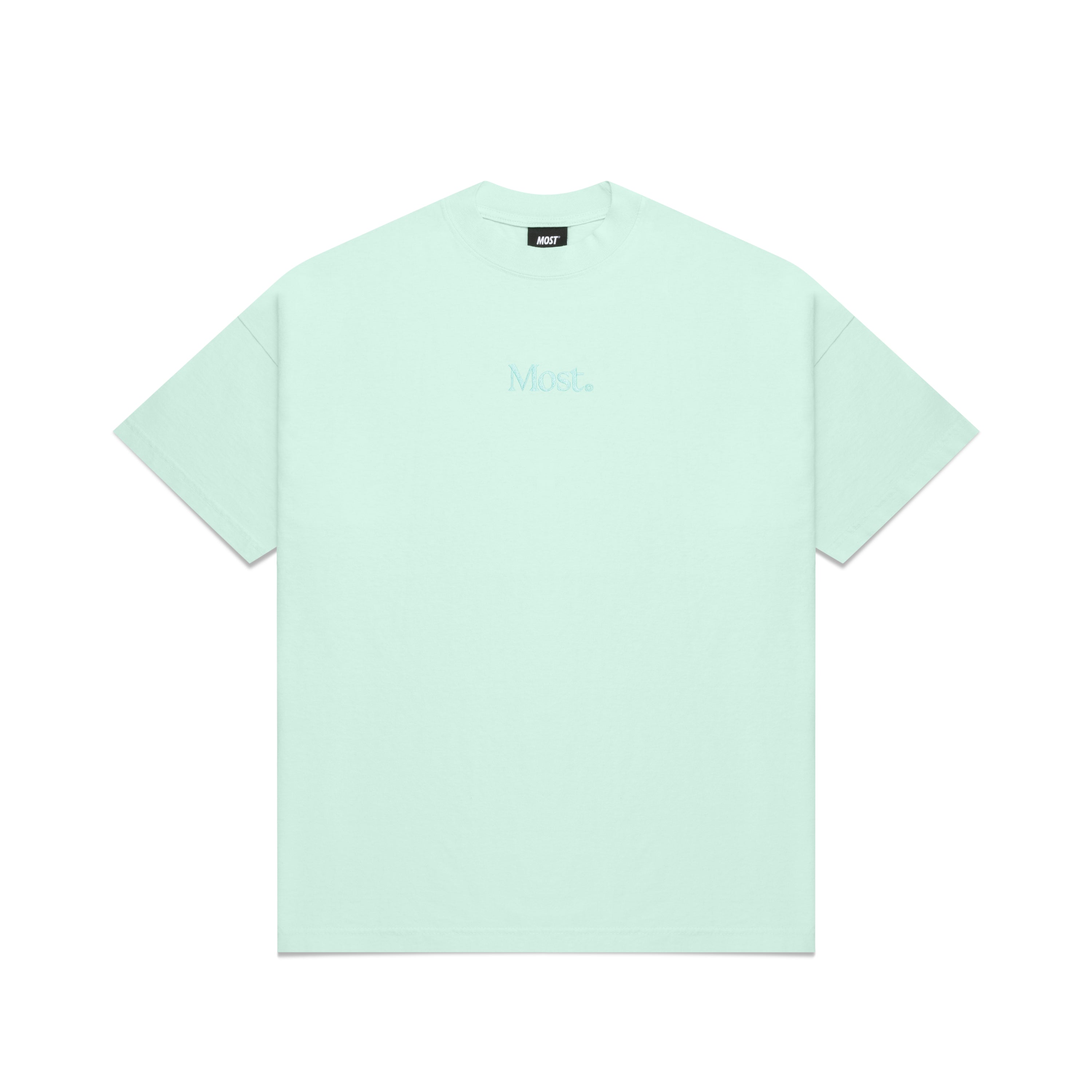 Embroidered Oversized Heavy Tee - Mint